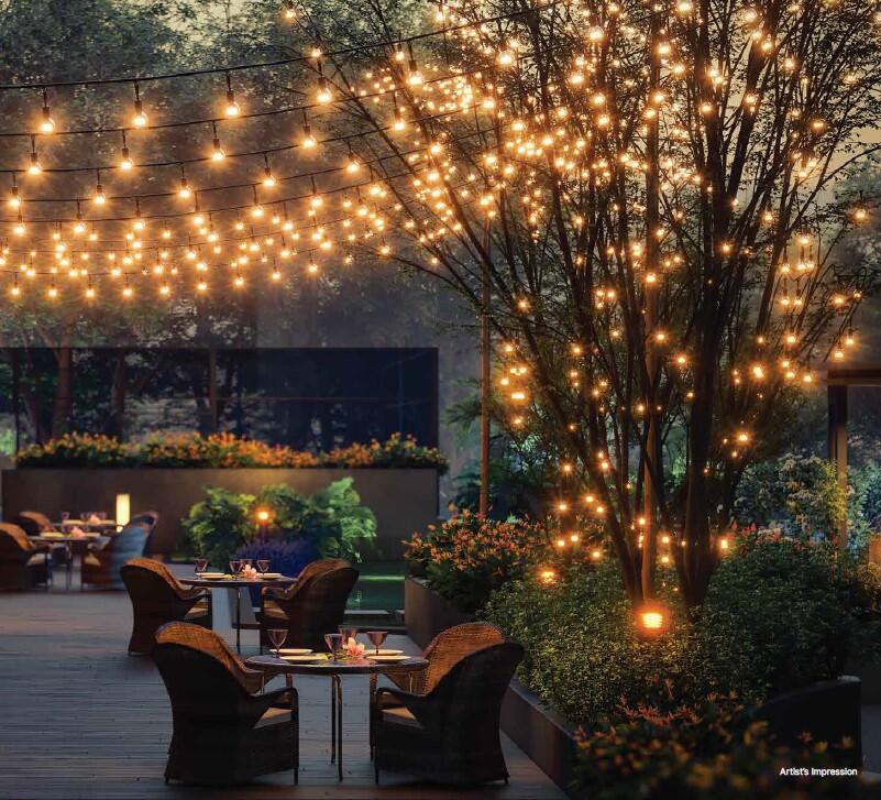 tludfll_1750941496_612070481_optOrig